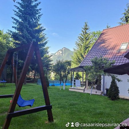 Casa Aris Lepsa Vrancea Hotell Eksteriør bilde