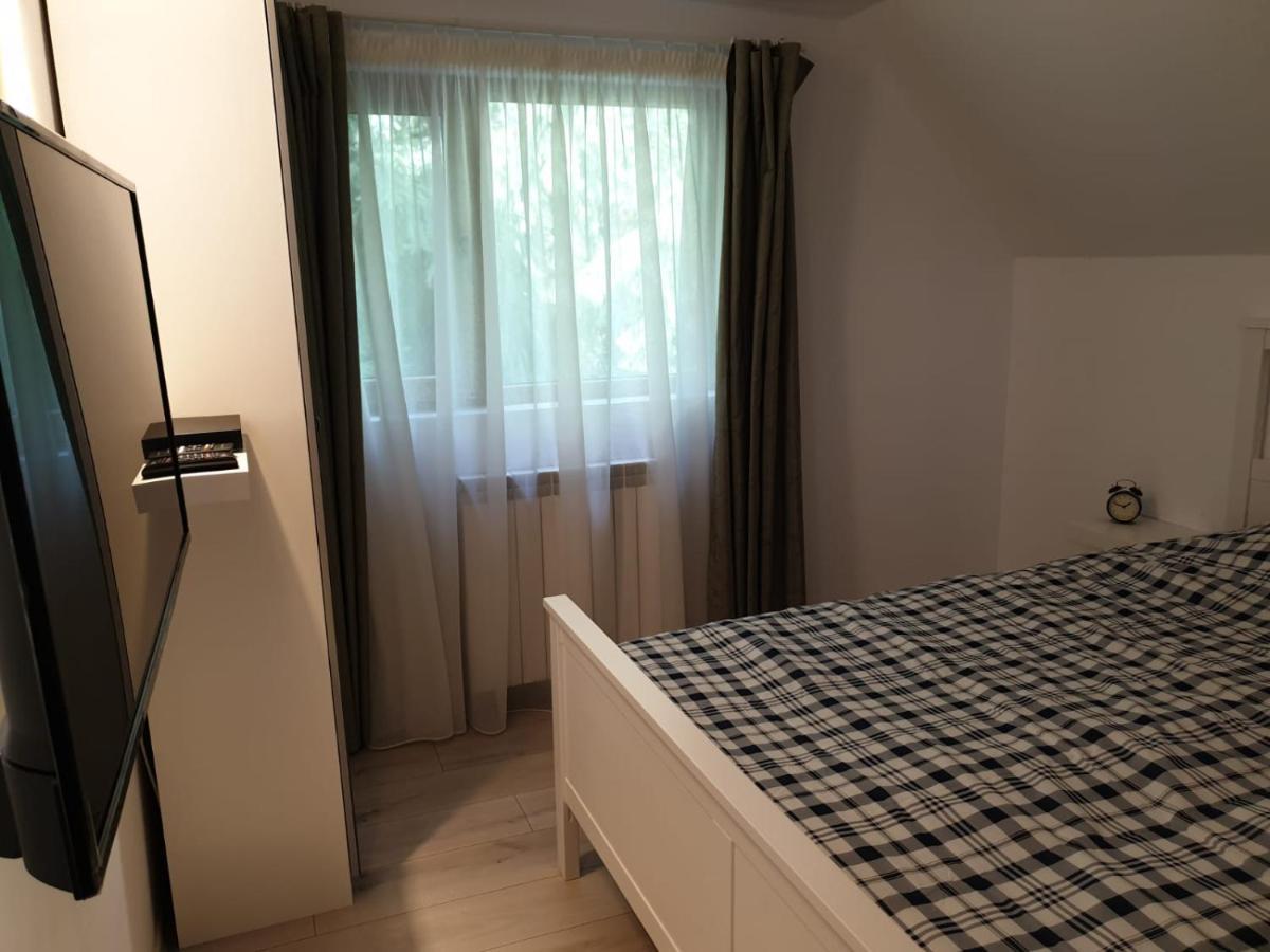 Casa Aris Lepsa Vrancea Hotell Eksteriør bilde