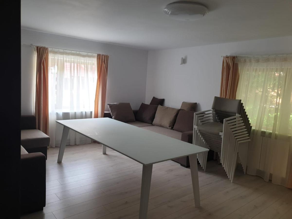 Casa Aris Lepsa Vrancea Hotell Eksteriør bilde