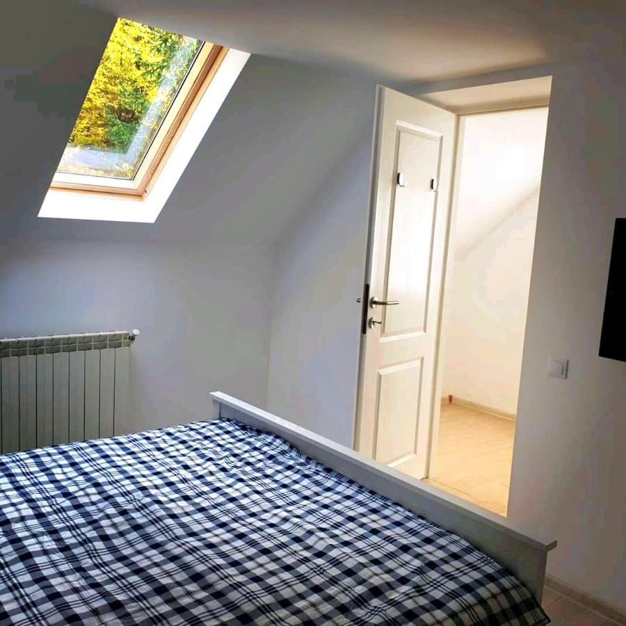 Casa Aris Lepsa Vrancea Hotell Eksteriør bilde