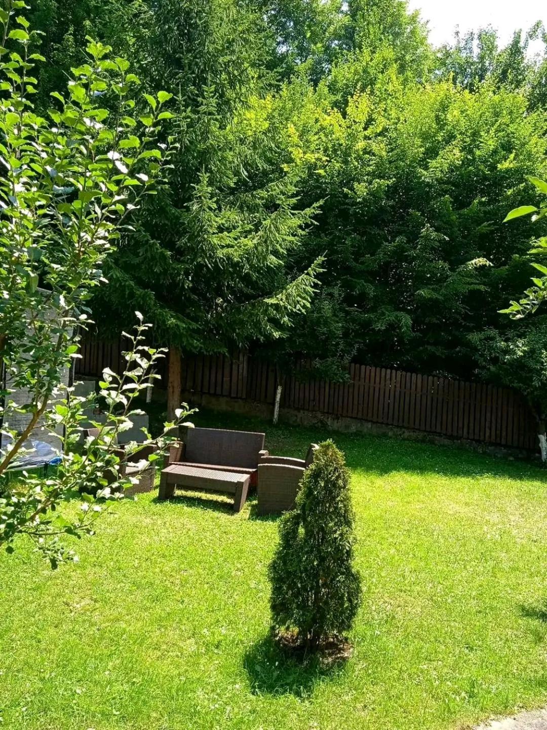 Casa Aris Lepsa Vrancea Hotell Eksteriør bilde