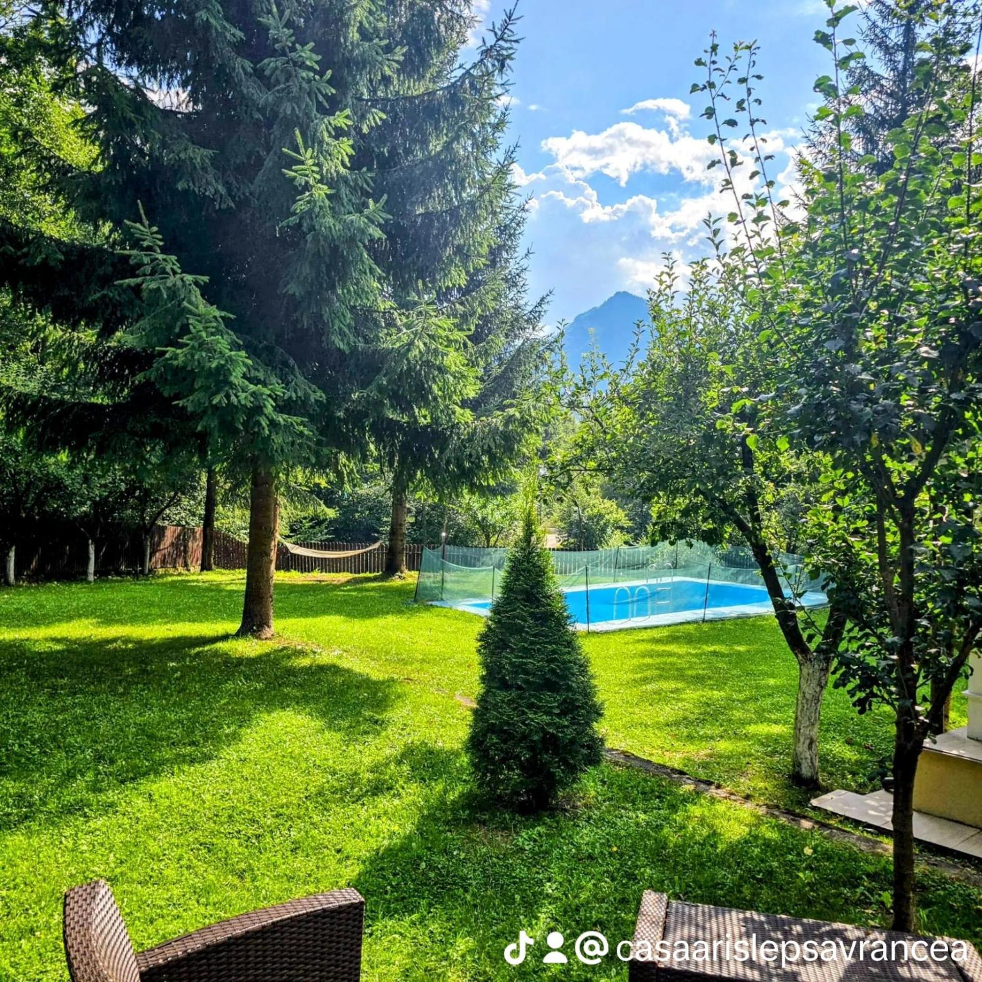 Casa Aris Lepsa Vrancea Hotell Eksteriør bilde